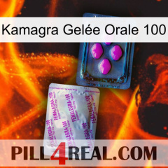 Kamagra Gelée Orale 100 37